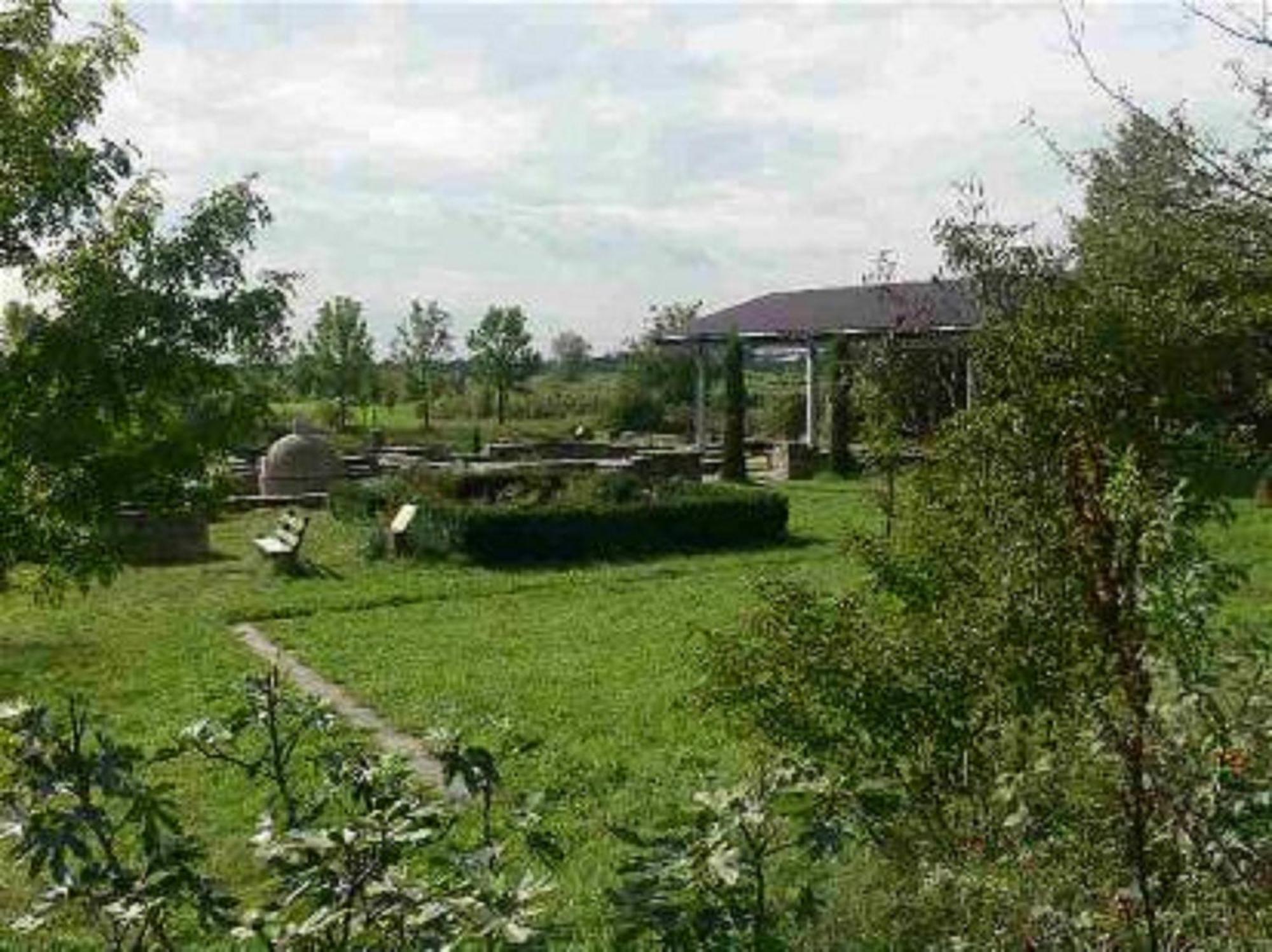 Hotel Goldbaechel Wachenheim an der Weinstraße Εξωτερικό φωτογραφία